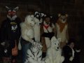 DSCF2772.JPG